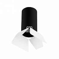 Накладной светильник Lightstar RULLO HP16 R437436 - цена и фото Накладной светильник Lightstar RULLO HP16 R437436 - цена и фото