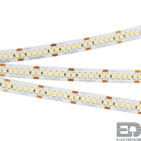 Светодиодная лента RT-A240-10mm 24V Warm3000 (19.2 W/m, IP20, 3528, 5m) (Arlight, Открытый) - цена и фото