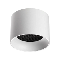 Светильник накладной Novotech GEMINI 371009 - цена и фото