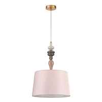 Подвесной светильник Odeon Light HOMI 5040/1 - цена и фото Подвесной светильник Odeon Light HOMI 5040/1 - цена и фото