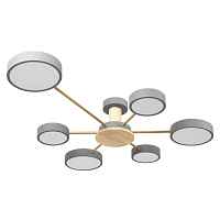 Потолочная светодиодная люстра Loft IT Sunrise 10316/6 Grey - цена и фото