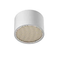 Потолочный светильник Maytoni Technical C122CL-GX53-W - цена и фото