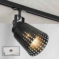 Светильник на штанге Lussole Erie LSP-9834-TAW - цена и фото