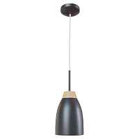 Подвесной светильник Loft IT Watchman LOFT4402A-BL