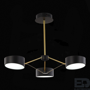 EVOLUCE SLE6005-402-03 Светильник потолочный Черный, Золотистый/Черный LED 3*10W - цена и фото
