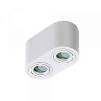 Потолочный светильник Azzardo Brant 2 IP44 AZ2816 - цена и фото