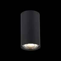 Потолочный светильник ST-Luce ST110.407.01 - цена и фото