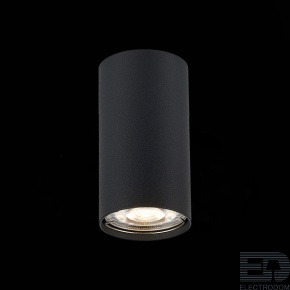 Потолочный светильник ST-Luce ST110.407.01 - цена и фото