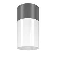 Потолочный светильник Willis Maytoni O418CL-01GR - цена и фото Потолочный светильник Willis Maytoni O418CL-01GR - цена и фото