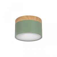 Накладной светодиодный светильник Loft IT Grape 10162 Green - цена и фото