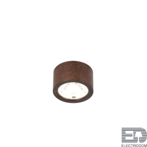 Потолочный светильник Favourite DEORSUM 2809-1U - цена и фото
