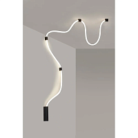 Светильник настенно-потолочный Aployt Sindrillon APL.773.02.78 - цена и фото