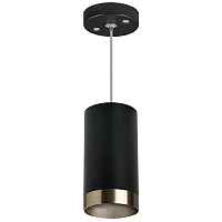 Lightstar Комплект со светильником Rullo RP437431 - цена и фото Lightstar Комплект со светильником Rullo RP437431 - цена и фото