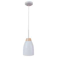 Подвесной светильник Loft IT Watchman LOFT4402A-WH