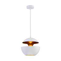Подвесной светильник Loft IT Apple LOFT2213-A - цена и фото Подвесной светильник Loft IT Apple LOFT2213-A - цена и фото