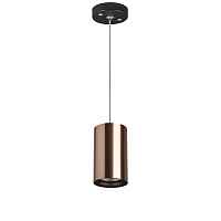 Lightstar Комплект со светильником Rullo RP430 - цена и фото Lightstar Комплект со светильником Rullo RP430 - цена и фото