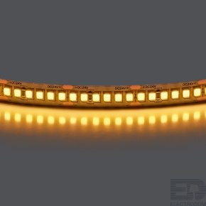 Лента теплого белого свечения 24V Lightstar Lightstar 421023 - цена и фото
