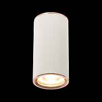 Светильник потолочный ST-Luce CHOMUS ST111.527.01 - цена и фото Светильник потолочный ST-Luce CHOMUS ST111.527.01 - цена и фото