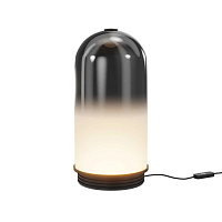 Настольная лампа Maytoni MOD488TL-L8B3K - цена и фото