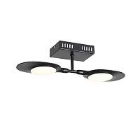 Светильник настенно-потолочный ST LUCE FARFALO SL824.401.02 - цена и фото