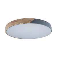Потолочный светильник Loft IT Axel 10004/36 Grey - цена и фото Потолочный светильник Loft IT Axel 10004/36 Grey - цена и фото