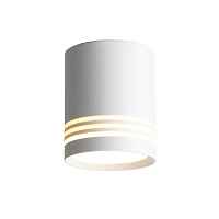 Светильник накладной ST Luce Cerione ST101.542.05 - цена и фото Светильник накладной ST Luce Cerione ST101.542.05 - цена и фото
