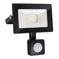 Прожектор светодиодный с датчиком движения и освещенности Elektrostandart 016 FL LED 10W 6500K IP54 - цена и фото