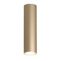 Накладной светильник Denkirs TUBE DK2052-SG - цена и фото Накладной светильник Denkirs TUBE DK2052-SG - цена и фото