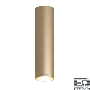 Накладной светильник Denkirs TUBE DK2052-SG - цена и фото