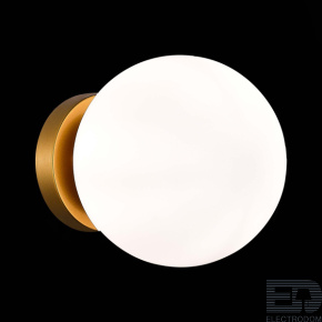 EVOLUCE SL717.201.01 Светильник настенно-потолочный Золотистый/Белый E27 1*40W - цена и фото
