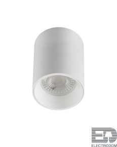 Накладной светильник Denkirs DK3110 DK3110-WH - цена и фото
