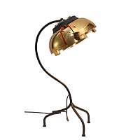 Настольный светильник ST LUCE LOTO SL817.424.01 - цена и фото