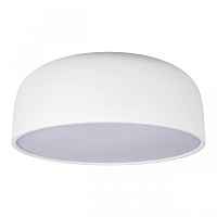 Потолочный светильник Axel 10201/480 White - цена и фото Потолочный светильник Axel 10201/480 White - цена и фото