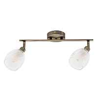 Светильник спот Arte Lamp Biham A3184PL-2AB - цена и фото Светильник спот Arte Lamp Biham A3184PL-2AB - цена и фото