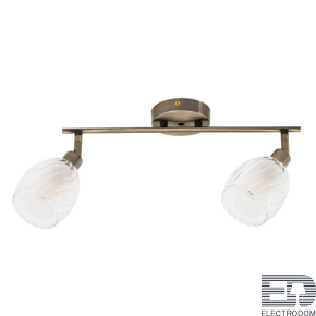 Светильник спот Arte Lamp Biham A3184PL-2AB - цена и фото