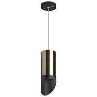 Lightstar Комплект со светильником Rullo RP43137 - цена и фото Lightstar Комплект со светильником Rullo RP43137 - цена и фото
