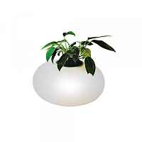 Настольная лампа Azzardo Flora AZ0185 - цена и фото