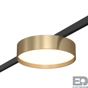 ST670.346.12 Магнитный трековый светильник Латунь LED 1*12W 4000K 500Lm Ra>80 100° IP20 D113xH34 24V - цена и фото