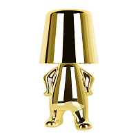 Настольная лампа Loft IT Brothers 10233/C Gold - цена и фото Настольная лампа Loft IT Brothers 10233/C Gold - цена и фото