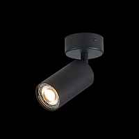 Потолочный светильник ST-Luce ST303.402.01 - цена и фото