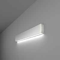 Настенный светодиодный светильник Elektrostandart 101-100-30-53 6500К матовое серебро - цена и фото