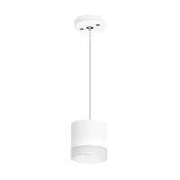 Lightstar Комплект со светильником Rullo RP348680 - цена и фото Lightstar Комплект со светильником Rullo RP348680 - цена и фото