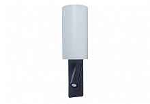 Светильник настенный TopDecor Robo Robo A2 12 - цена и фото Светильник настенный TopDecor Robo Robo A2 12 - цена и фото