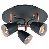 Спот Loft Lussole LSP-9853 - цена и фото Спот Loft Lussole LSP-9853 - цена и фото