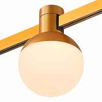 ST815.246.05 Магнитный трековый светильник FARM Золотистый LED 1*5W 4000K 89Lm Ra90 120 IP20 D75xH1 - цена и фото