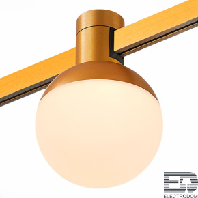 ST815.246.05 Магнитный трековый светильник FARM Золотистый LED 1*5W 4000K 89Lm Ra90 120 IP20 D75xH1 - цена и фото