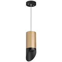 Lightstar Комплект со светильником Rullo RP44037 - цена и фото Lightstar Комплект со светильником Rullo RP44037 - цена и фото