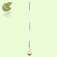 Подвесной светильник Lussole Loft GRLSP-9890 - цена и фото Подвесной светильник Lussole Loft GRLSP-9890 - цена и фото