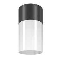 Потолочный светильник Willis Maytoni O418CL-01B - цена и фото Потолочный светильник Willis Maytoni O418CL-01B - цена и фото