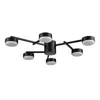 Потолочная люстра Lumion Comfi Dabra 8186/6C - цена и фото